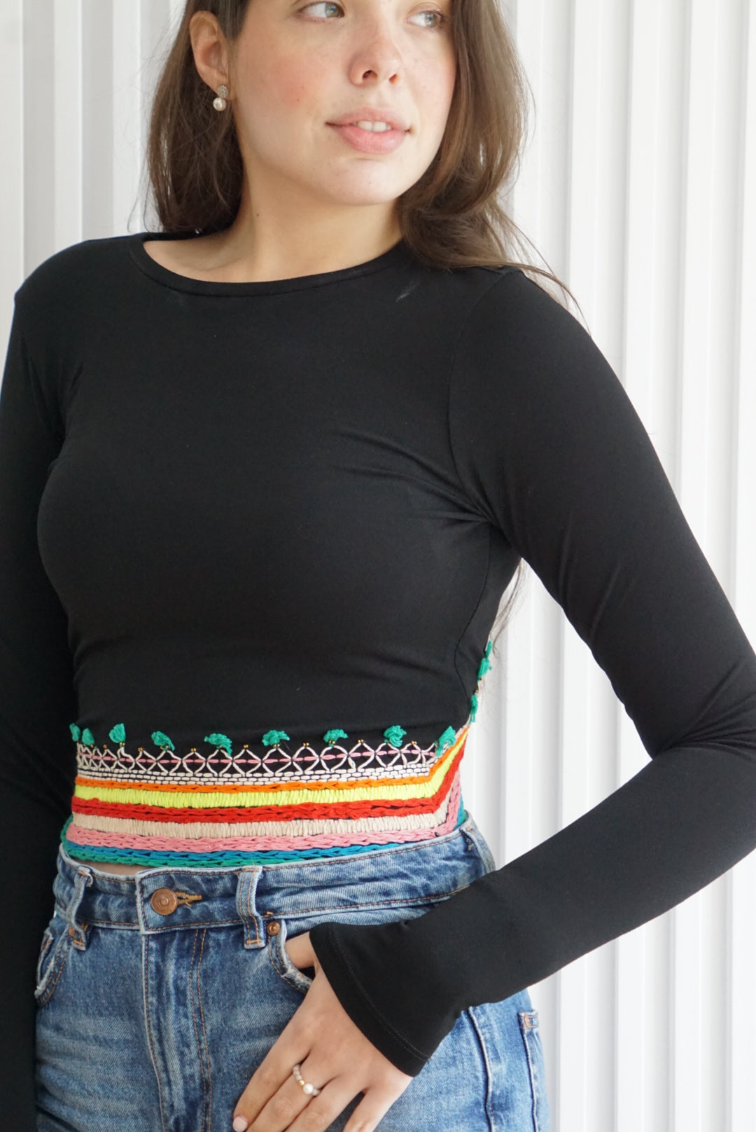 Delaina Embroidered Crop Top