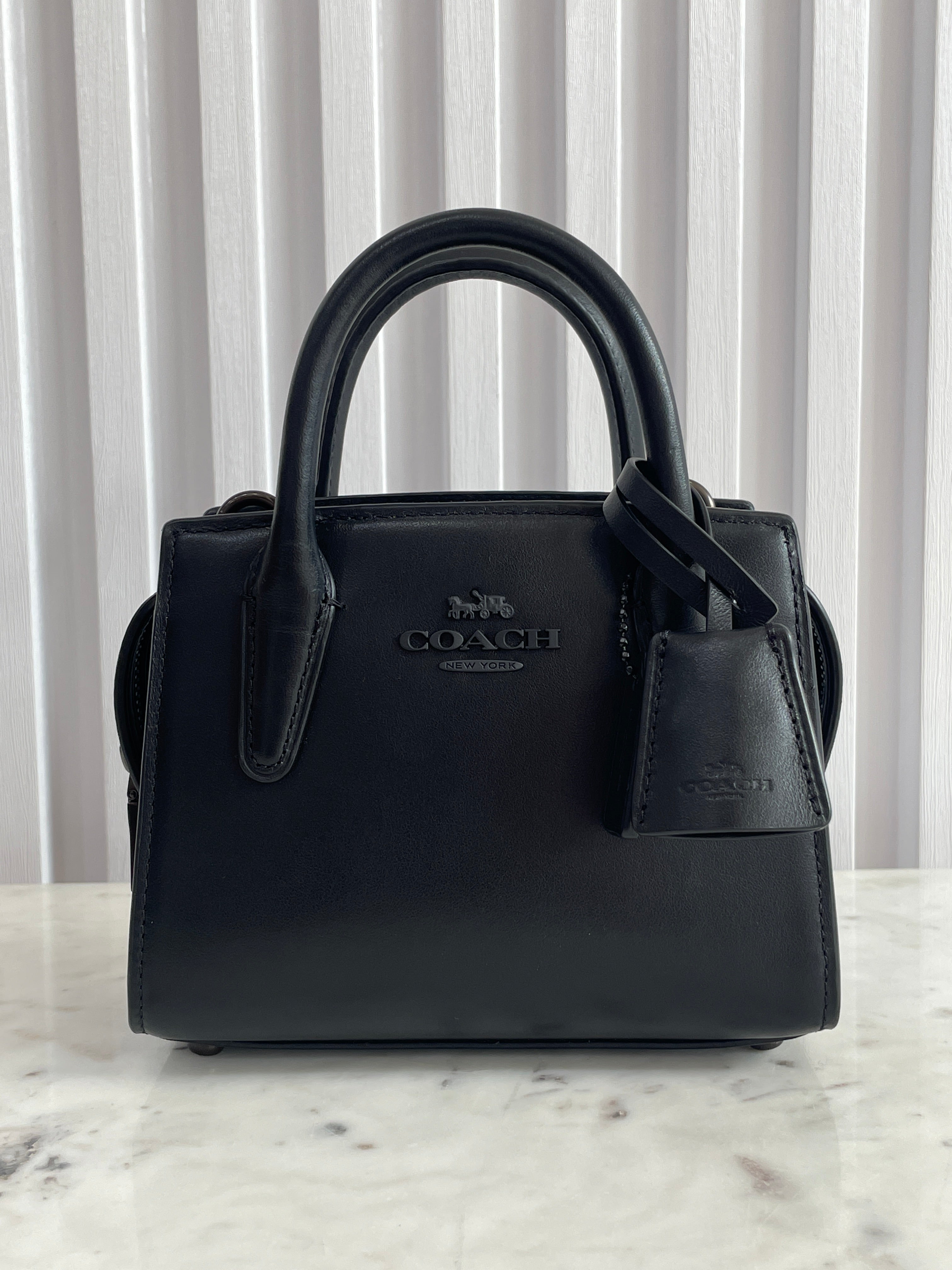 Andrea Mini Carryall Bag