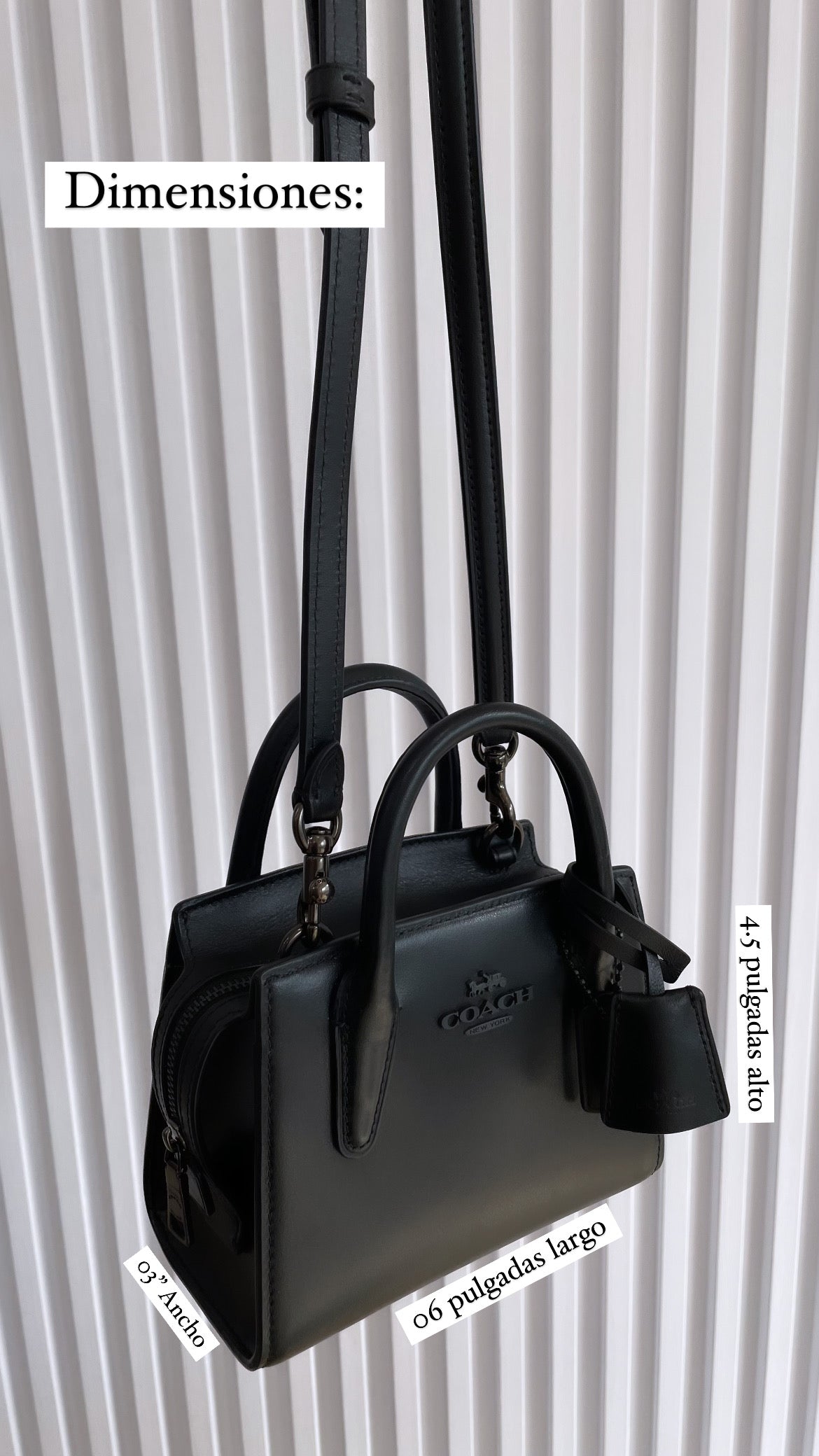 Andrea Mini Carryall Bag