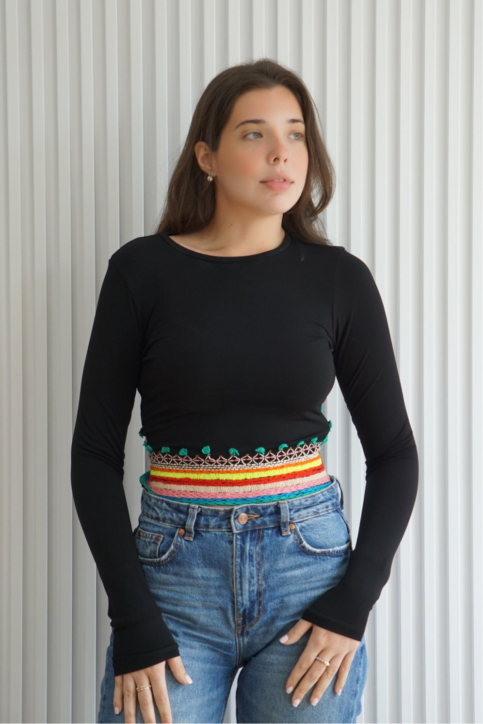 Delaina Embroidered Crop Top